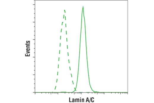 Flow Cytometry Image 1: Lamin A/C (4C11) Mouse Monoclonal Antibody