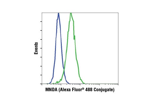 Flow Cytometry Image 1: MNDA (3C1) Rat Monoclonal Antibody (Alexa Fluor<sup>®</sup> 488 Conjugate)