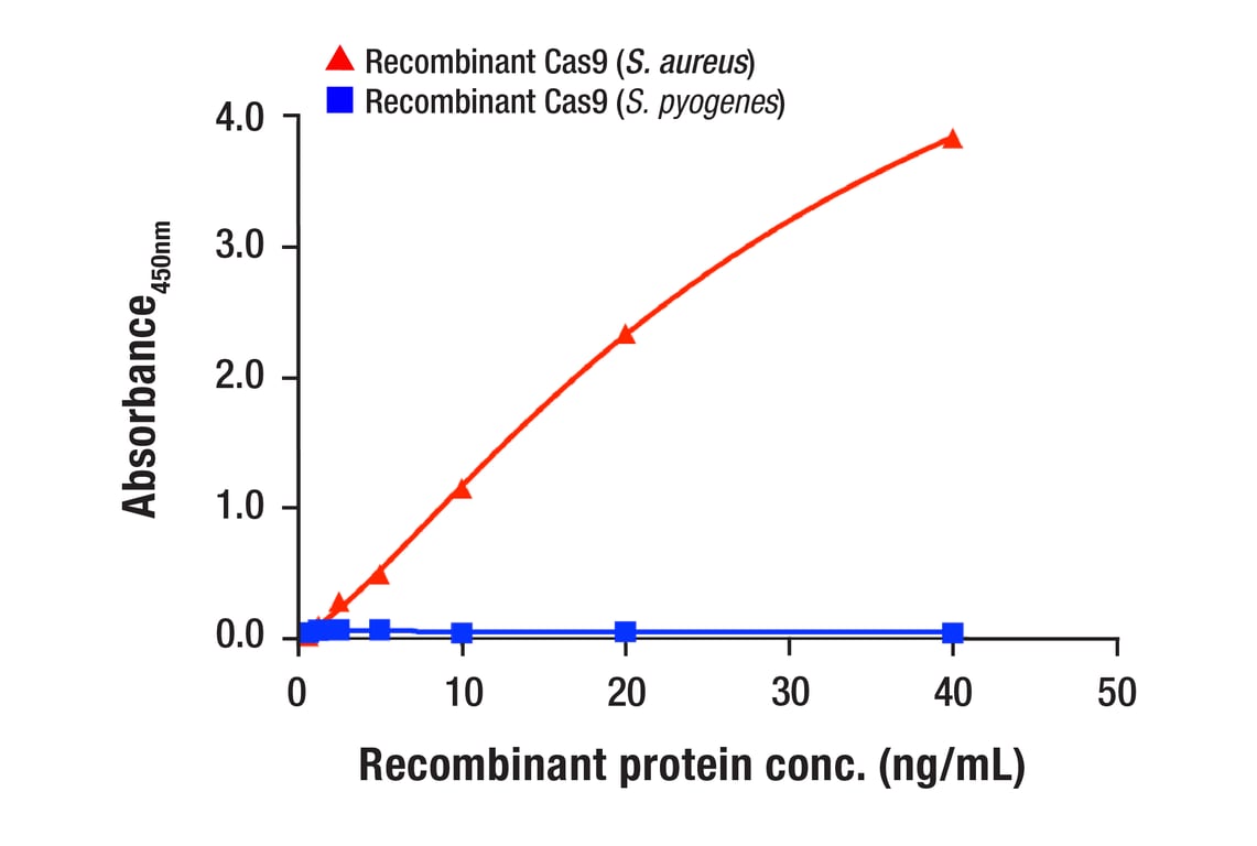 ELISA Image 2: Cas9 (<i>S. aureus</i>) (6xHis-Tag) Recombinant Protein Quantitative Control