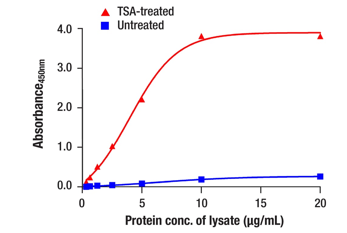 ELISA and/or ELISA-like Assays Image 2: Acetyl-Histone H3 (Lys27) (D5E4) Rabbit Monoclonal Antibody (BSA and Azide Free)