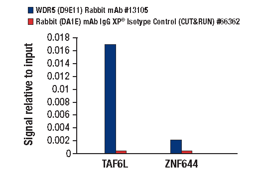 undefined Image 27: SET1/COMPASS Antibody Sampler Kit