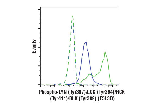 Flow Cytometry Image 1: Phospho-LYN (Tyr397)/LCK (Tyr394)/HCK (Tyr411)/BLK (Tyr389) (E5L3D) Rabbit Monoclonal Antibody