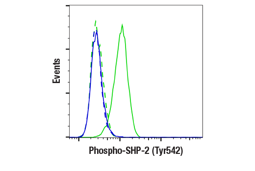 Flow Cytometry Image 1: Phospho-SHP-2 (Tyr542) (E8D6V) Rabbit Monoclonal Antibody