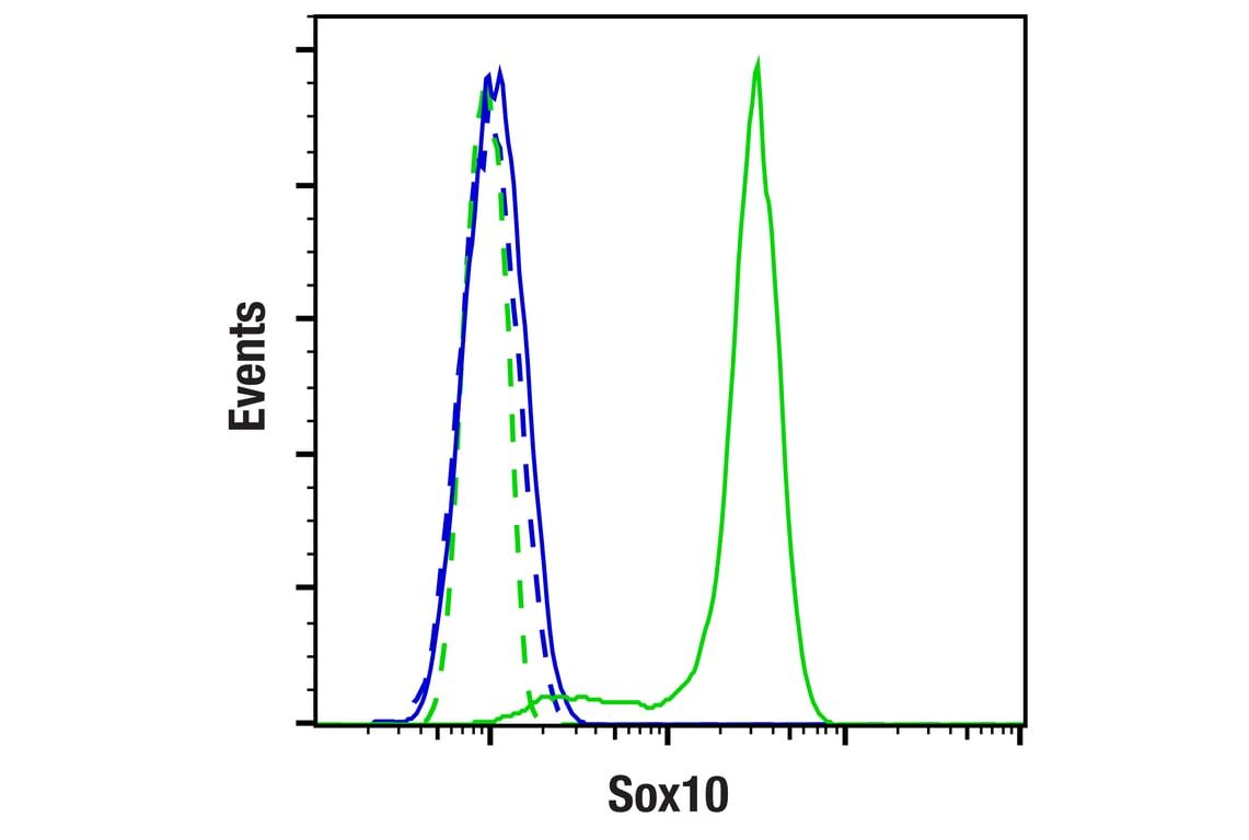 Flow Cytometry Image 1: Sox10 (E2V9N) Rabbit Monoclonal Antibody