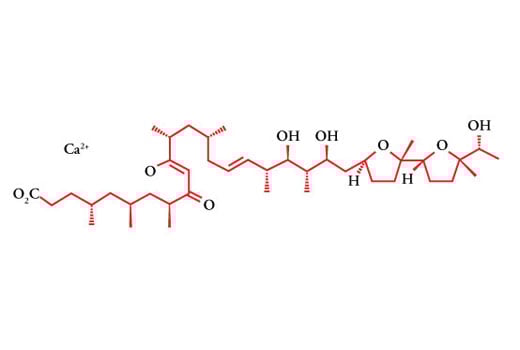 undefined Image 2: Ionomycin, Calcium Salt