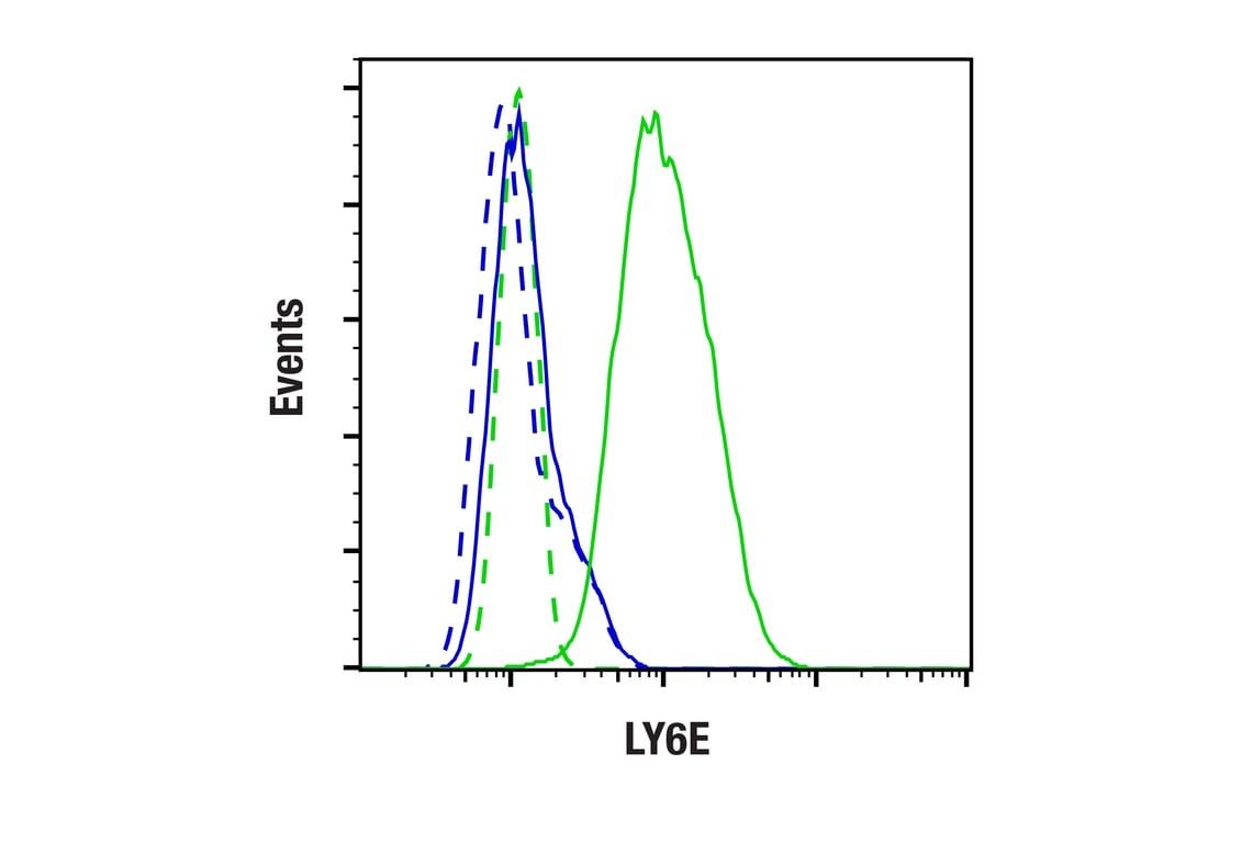Flow Cytometry Image 1: LY6E (F8Y1R) Rabbit Monoclonal Antibody