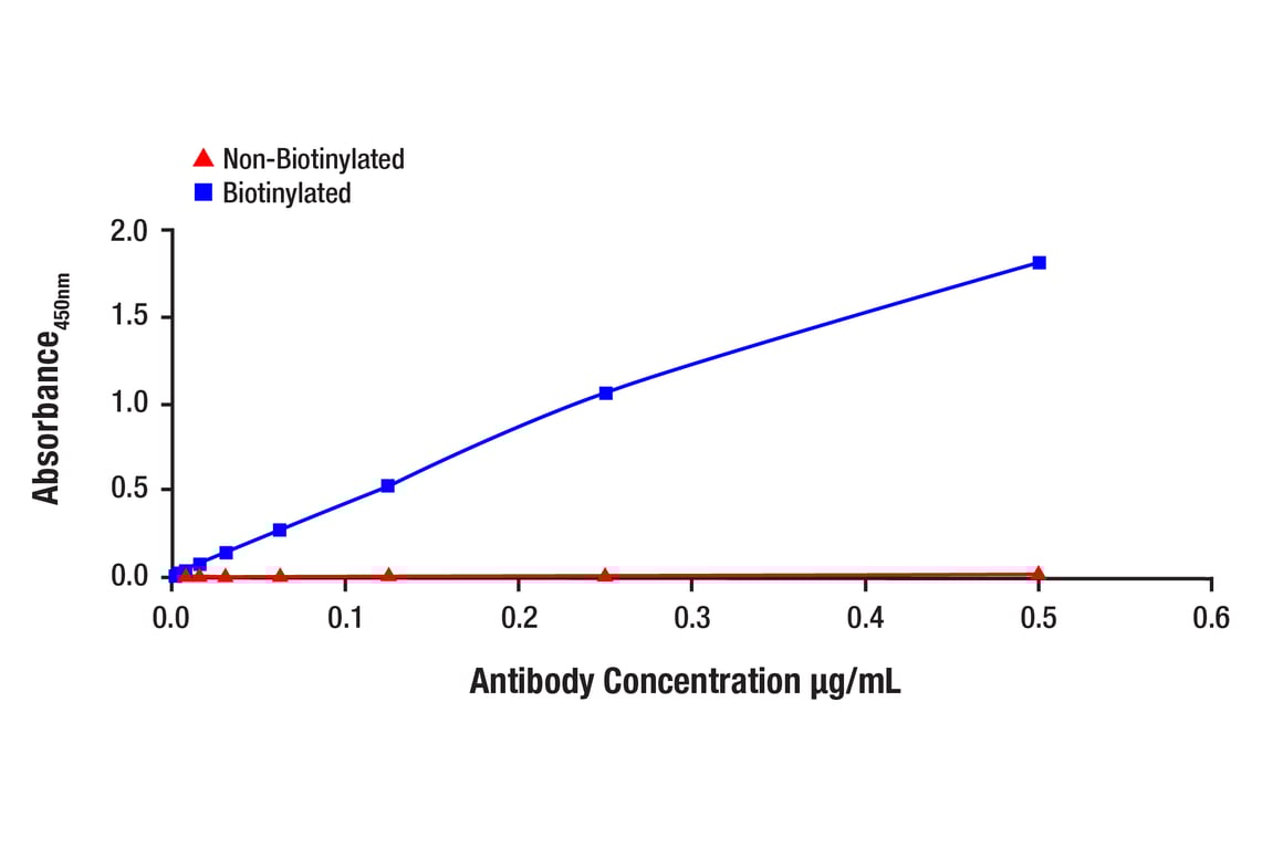 E Image 1: Cas9 <i>(S. pyogenes) </i>(E7M1H) Rabbit Monoclonal Antibody (Biotinylated)