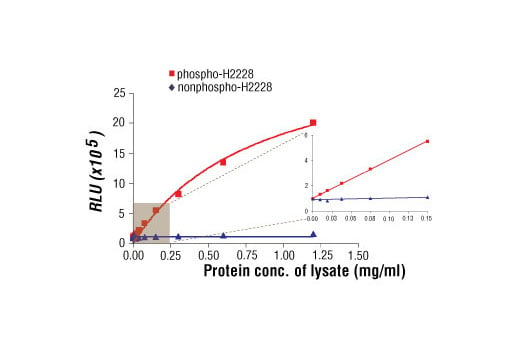 ELISA Image 1: PathScan<sup>®</sup> Phospho-ALK (Tyr1604) Chemiluminescent Sandwich ELISA Kit