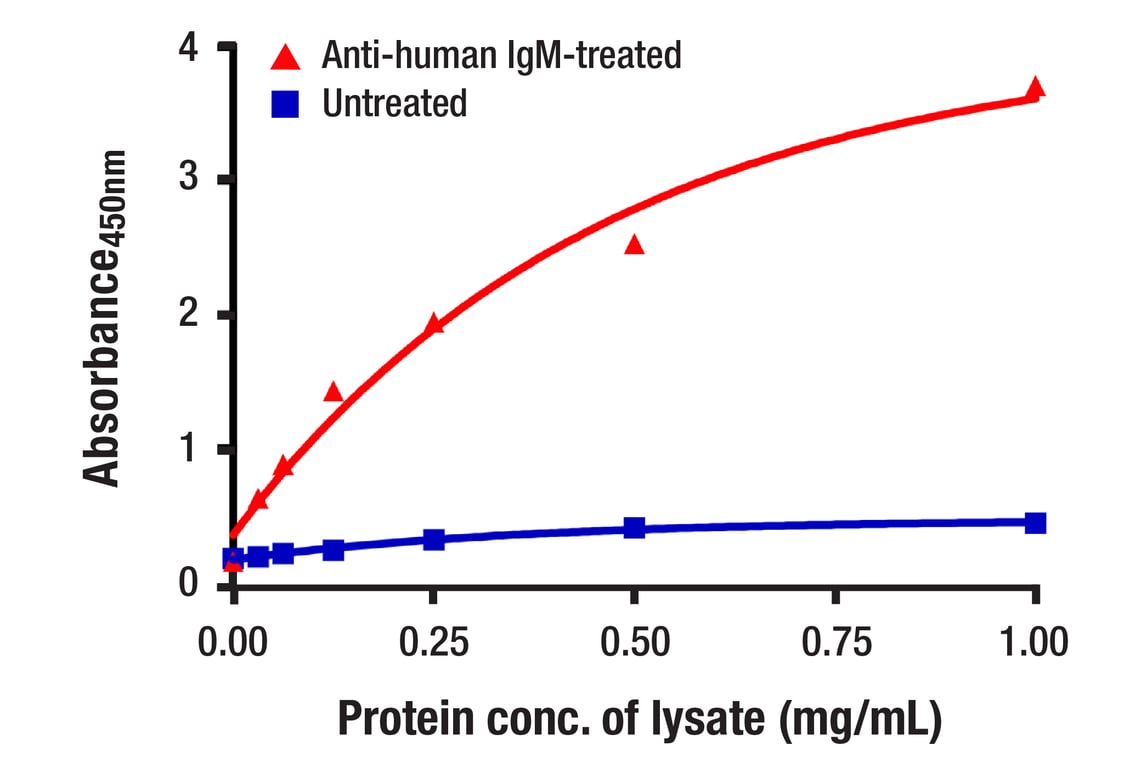 ELISA and/or ELISA-like Assays Image 2: Syk (D3Z1E) Rabbit Monoclonal Antibody (BSA and Azide Free)