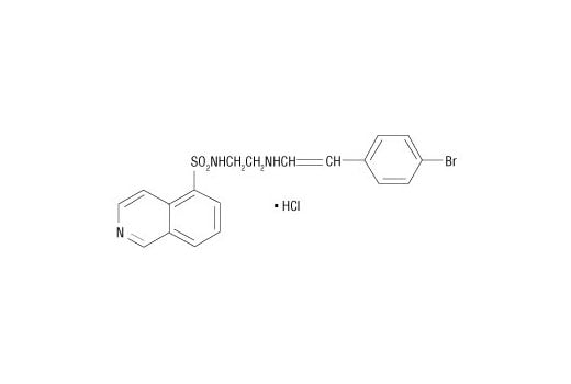 undefined Image 2: H-89, Dihydrochloride