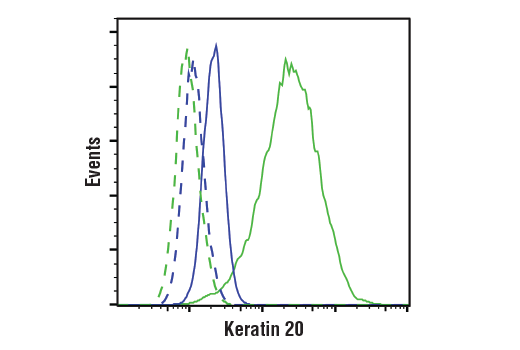 Flow Cytometry Image 1: Keratin 20 (D9Z1Z) Rabbit Monoclonal Antibody (BSA and Azide Free)