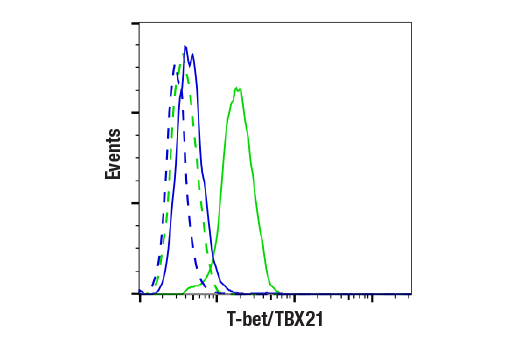 Flow Cytometry Image 1: T-bet/TBX21 (E4I2K) Rabbit Monoclonal Antibody (BSA and Azide Free)