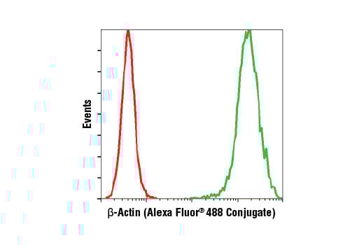 Flow Cytometry Image 1: beta-Actin (13E5) Rabbit Monoclonal Antibody (Alexa Fluor<sup>®</sup> 488 Conjugate)