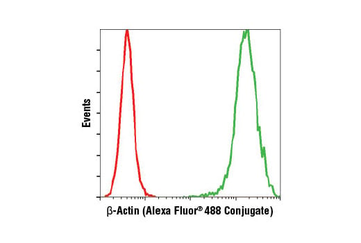 Flow Cytometry Image 1: β-Actin (13E5) Rabbit mAb (Alexa Fluor<sup>®</sup> 488 Conjugate)