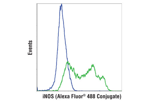 Flow Cytometry Image 1: iNOS (D6B6S) Rabbit mAb (Alexa Fluor<sup>®</sup> 488 Conjugate)