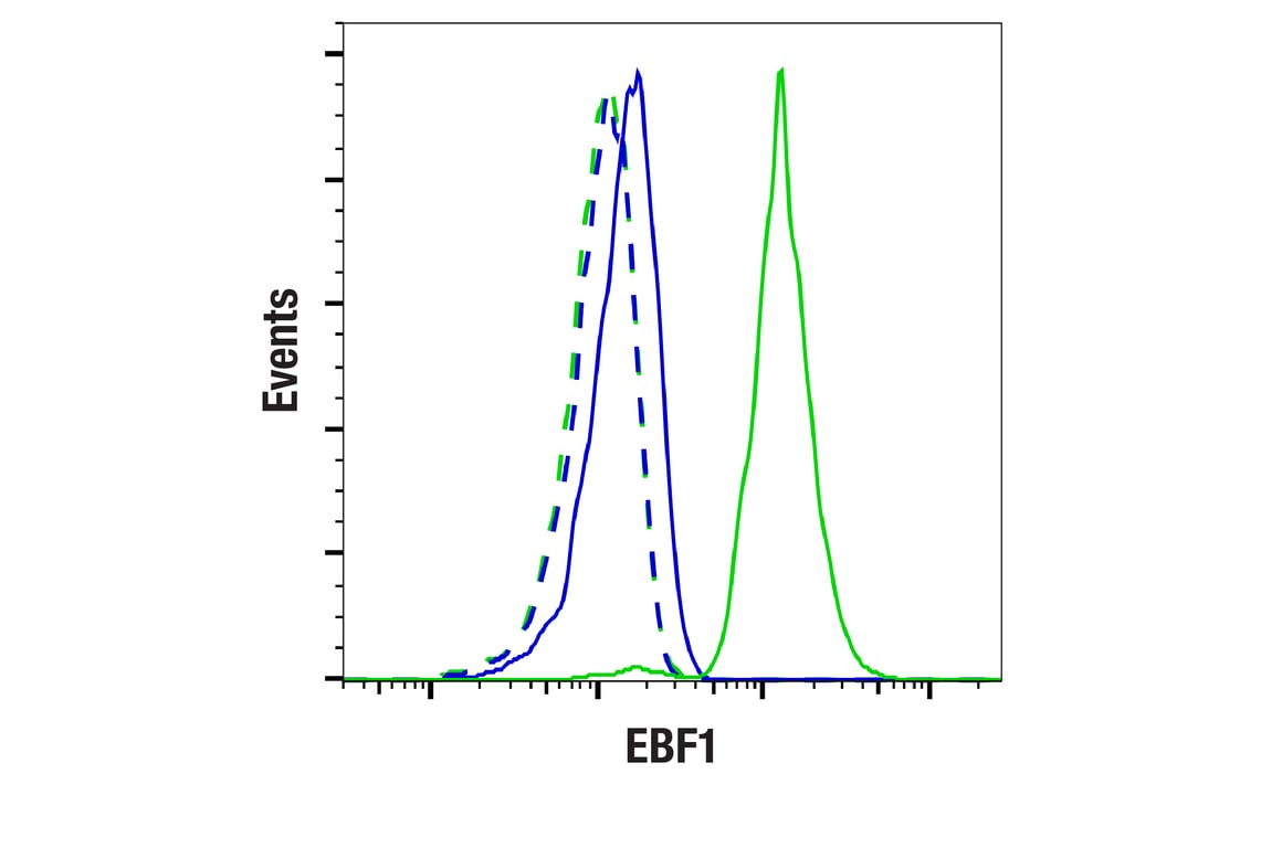 Flow Cytometry Image 1: EBF1 (E2I3Q) Rabbit Monoclonal Antibody