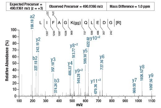undefined Image 4: PTMScan<sup>®</sup> Control Peptides Ubiquitin/SUMO