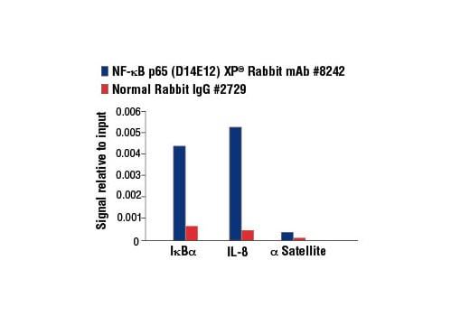Chromatin Immunoprecipitation Image 3: NF-kappaB p65 (D14E12) Rabbit Monoclonal Antibody