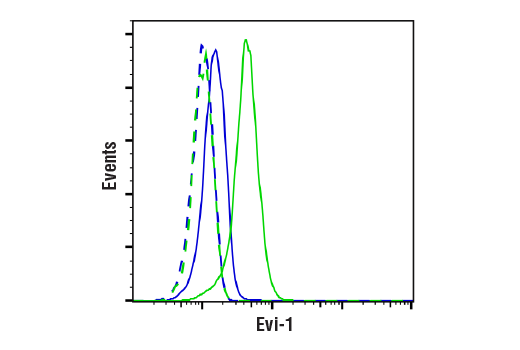 Flow Cytometry Image 1: Evi-1 (C50E12) Rabbit Monoclonal Antibody (BSA and Azide Free)