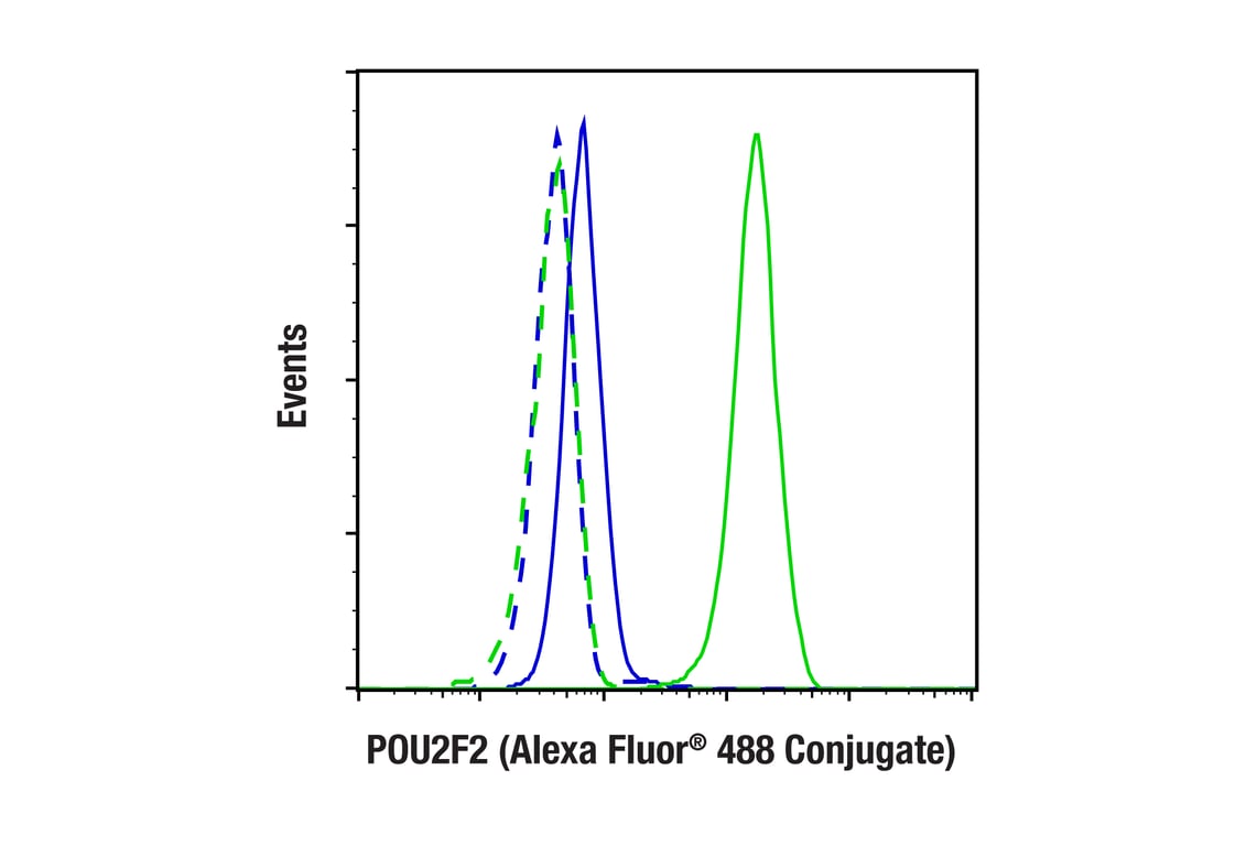 Flow Cytometry Image 2: POU2F2 (F3B7M) Rabbit Monoclonal Antibody (Alexa Fluor<sup>®</sup> 488 Conjugate)