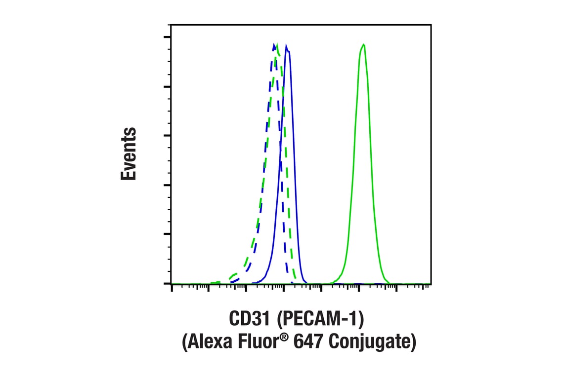 CD31 (PECAM-1) (F2N3M) Rabbit Monoclonal Antibody (Alexa Fluor