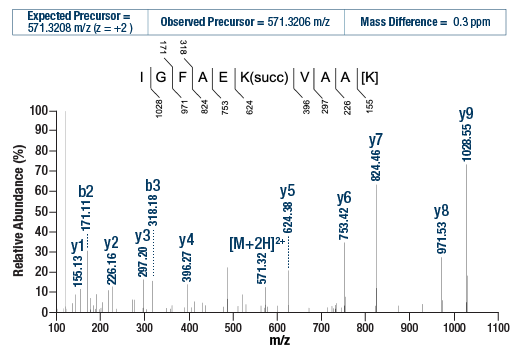 undefined Image 2: PTMScan<sup>®</sup> Control Peptides Succinyl-Lysine