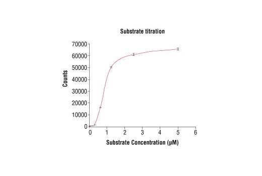 undefined Image 2: HTScan<sup>®</sup> EphB3 Kinase Assay Kit