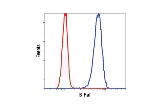 Flow Cytometry Image 1: B-Raf (L12G7) Mouse mAb