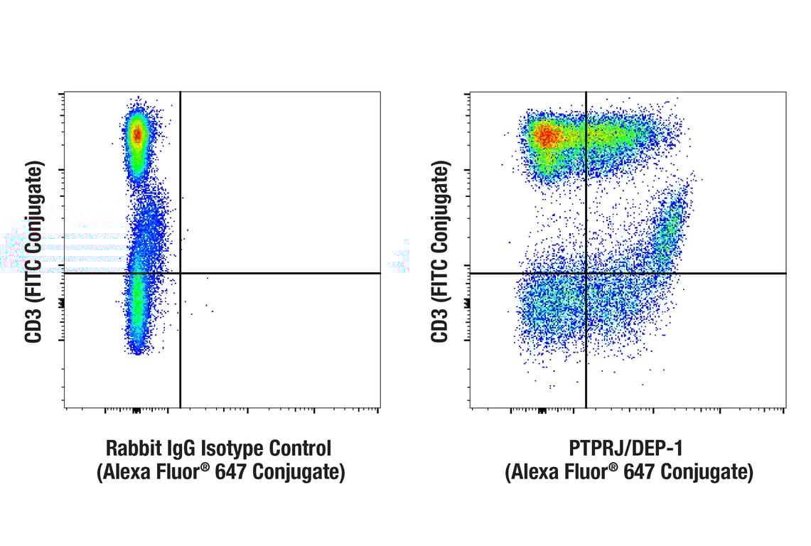 Flow Cytometry Image 1: PTPRJ/DEP-1 (F4G8K) Rabbit Monoclonal Antibody (Alexa Fluor<sup>®</sup> 647 Conjugate)