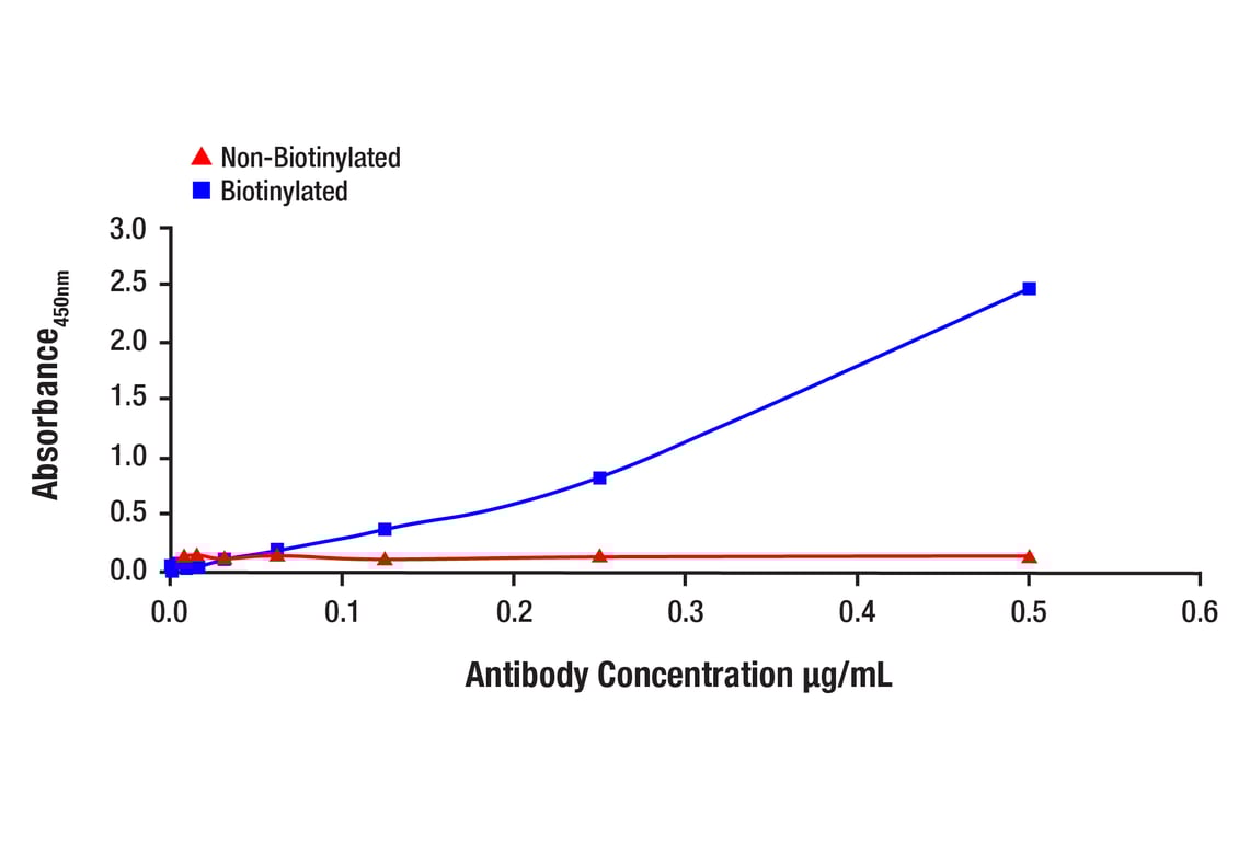 undefined Image 1: Phospho-Akt (Ser473) (D9W9U) Mouse Monoclonal Antibody (Biotinylated)