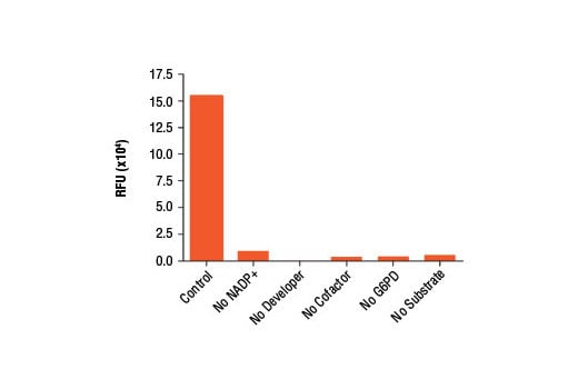 undefined Image 2: Glucose-6-Phosphate Dehydrogenase (G6PD) Activity Assay Kit