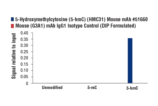 undefined Image 3: 5-Hydroxymethylcytosine (5-hmC) (HMC31) Mouse Monoclonal Antibody