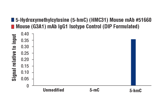 undefined Image 3: 5-Hydroxymethylcytosine (5-hmC) (HMC31) Mouse mAb