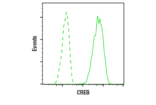 Flow Cytometry Image 1: CREB (D76D11) Rabbit Monoclonal Antibody