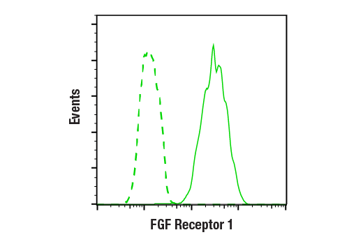 Flow Cytometry Image 1: FGF Receptor 1 (D8E4) Rabbit Monoclonal Antibody