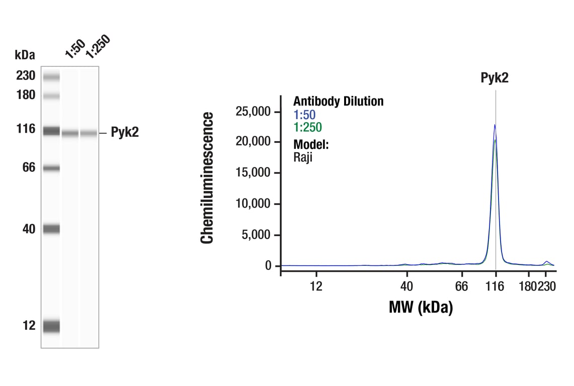 undefined Image 19: Late-Onset Alzheimer's Disease Risk Gene (Mouse Model) Antibody Sampler Kit