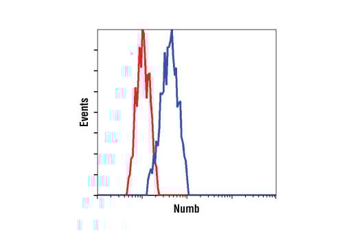 Flow Cytometry Image 1: Numb (C44B4) Rabbit Monoclonal Antibody