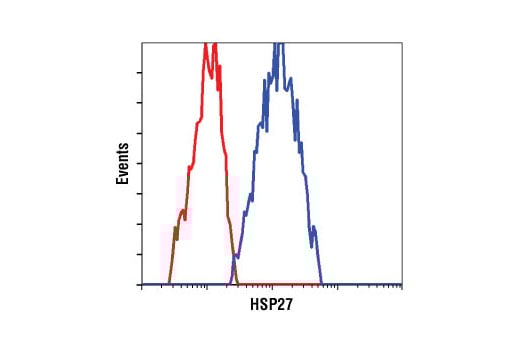 Flow Cytometry Image 1: HSP27 Antibody