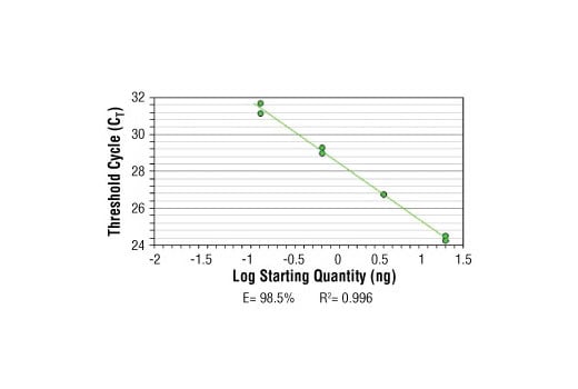 Chromatin Immunoprecipitation Image 2: SimpleChIP<sup>®</sup> Mouse XIST Intron 1 Primers