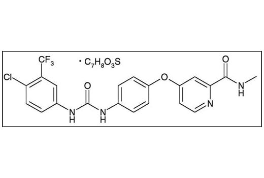 undefined Image 2: Sorafenib