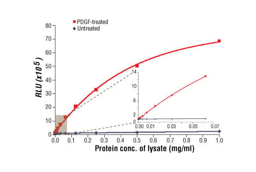 ELISA Image 1: PathScan<sup>®</sup> Phospho-Akt1 (Ser473) Chemiluminescent Sandwich ELISA Kit