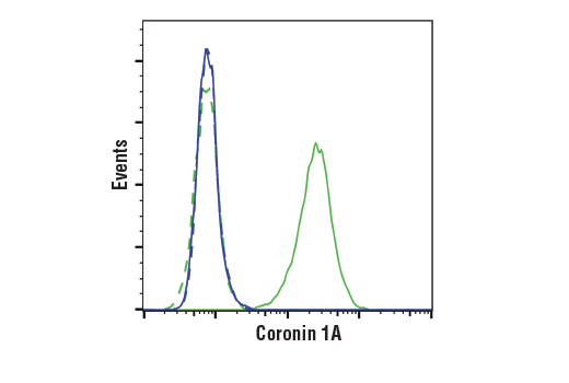 Flow Cytometry Image 1: Coronin 1A (D6K5B) Rabbit Monoclonal Antibody