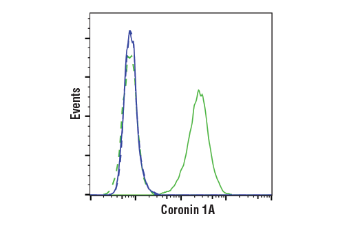 Flow Cytometry Image 1: Coronin 1A (D6K5B) XP<sup>®</sup> Rabbit mAb