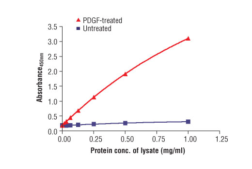 ELISA Image 2: PathScan<sup>®</sup> Phospho-p44/42 MAPK (Thr202/Tyr204) Sandwich ELISA Kit