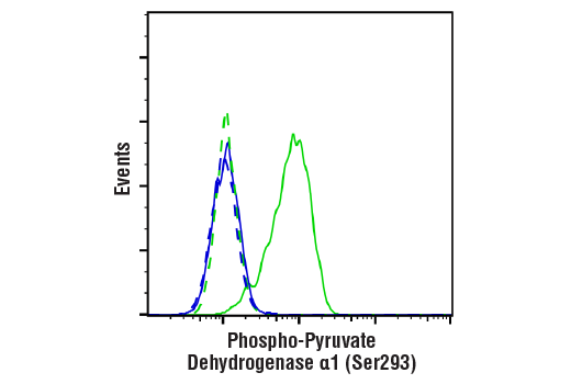 Flow Cytometry Image 1: Phospho-Pyruvate Dehydrogenase alpha1 (Ser293) (E4V9L) Rabbit Monoclonal Antibody (BSA and Azide Free)