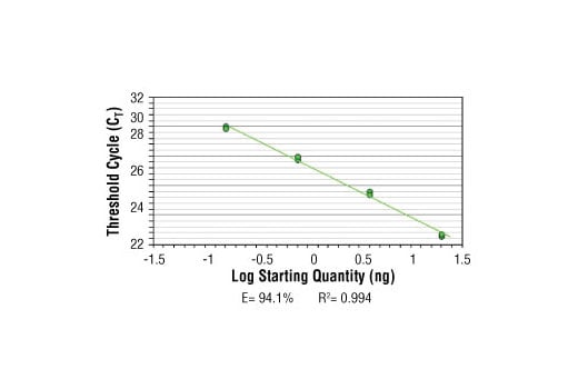 Chromatin Immunoprecipitation Image 2: SimpleChIP<sup>®</sup> Human Oct-4 Promoter Primers