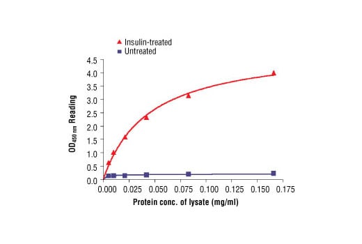ELISA Image 2: PathScan<sup>®</sup> Phospho-Insulin Receptor beta (Tyr1146) Sandwich ELISA Kit