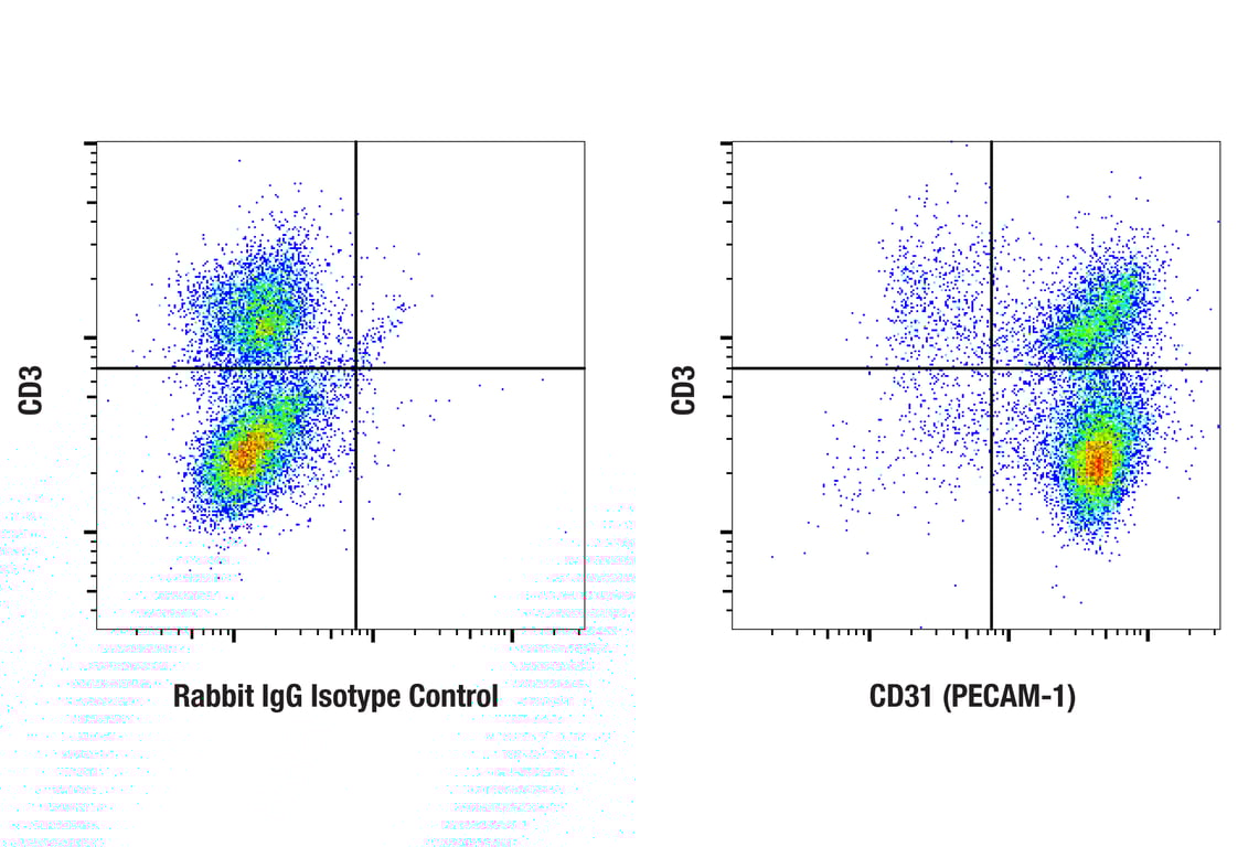 Flow Cytometry Image 1: CD31 (PECAM-1) (F2N3M) Rabbit Monoclonal Antibody