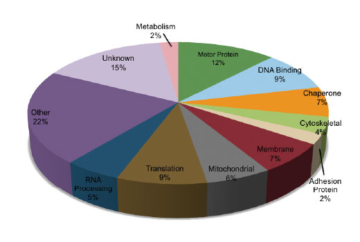 PTMScan Image 2: PTMScan<sup>®</sup> Pan-Methyl Lysine Kit