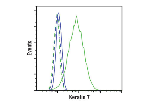 Flow Cytometry Image 1: Keratin 7 (D1E4) Rabbit Monoclonal Antibody (BSA and Azide Free)